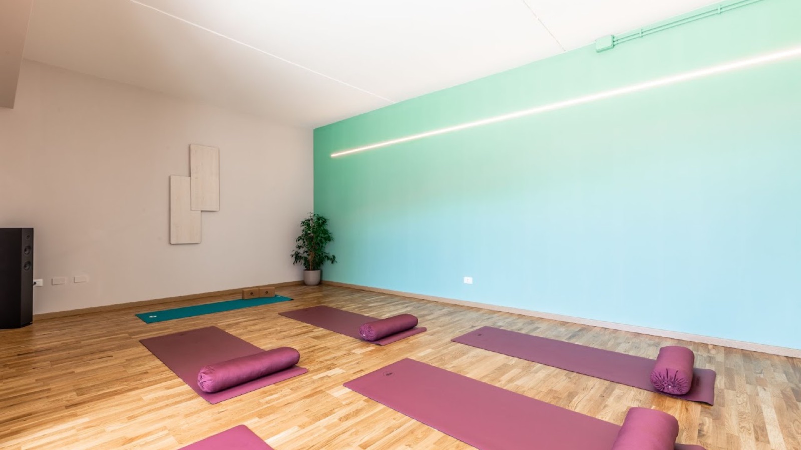 Loop Gym sala 3